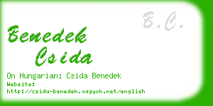 benedek csida business card